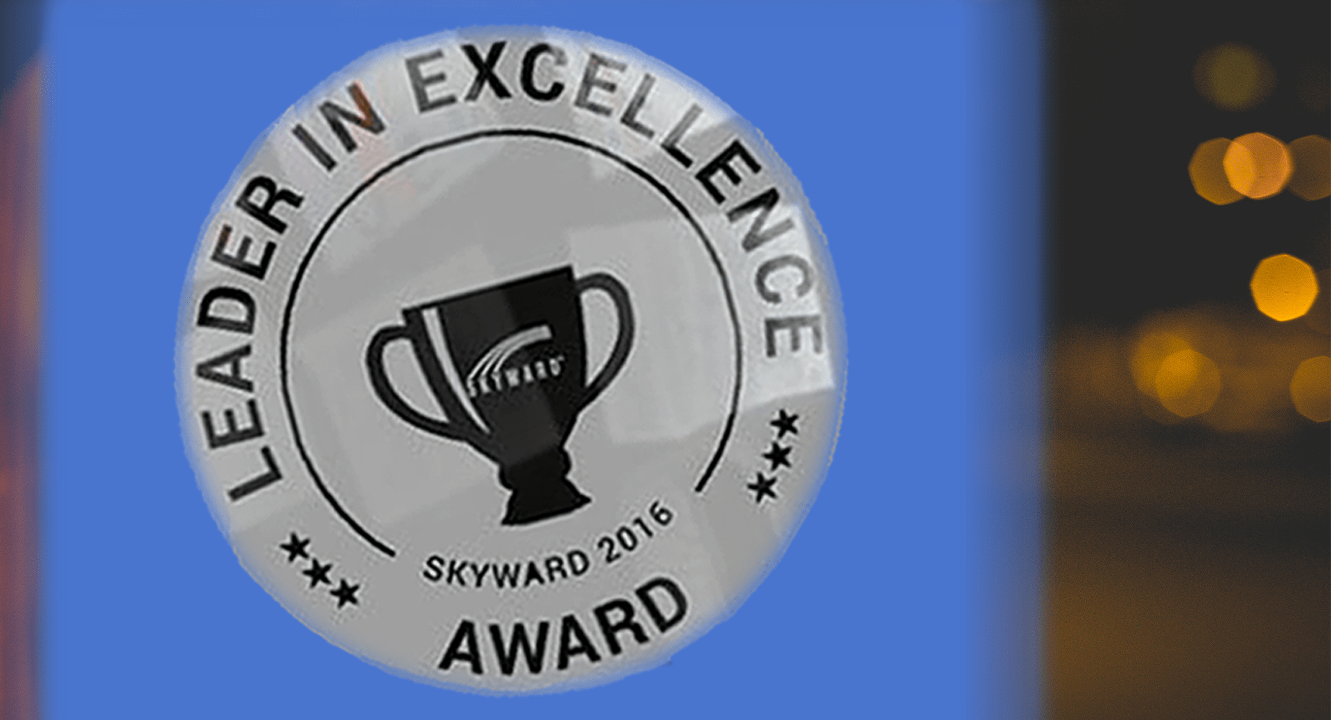 2016 Individual Leaders in Excellence
