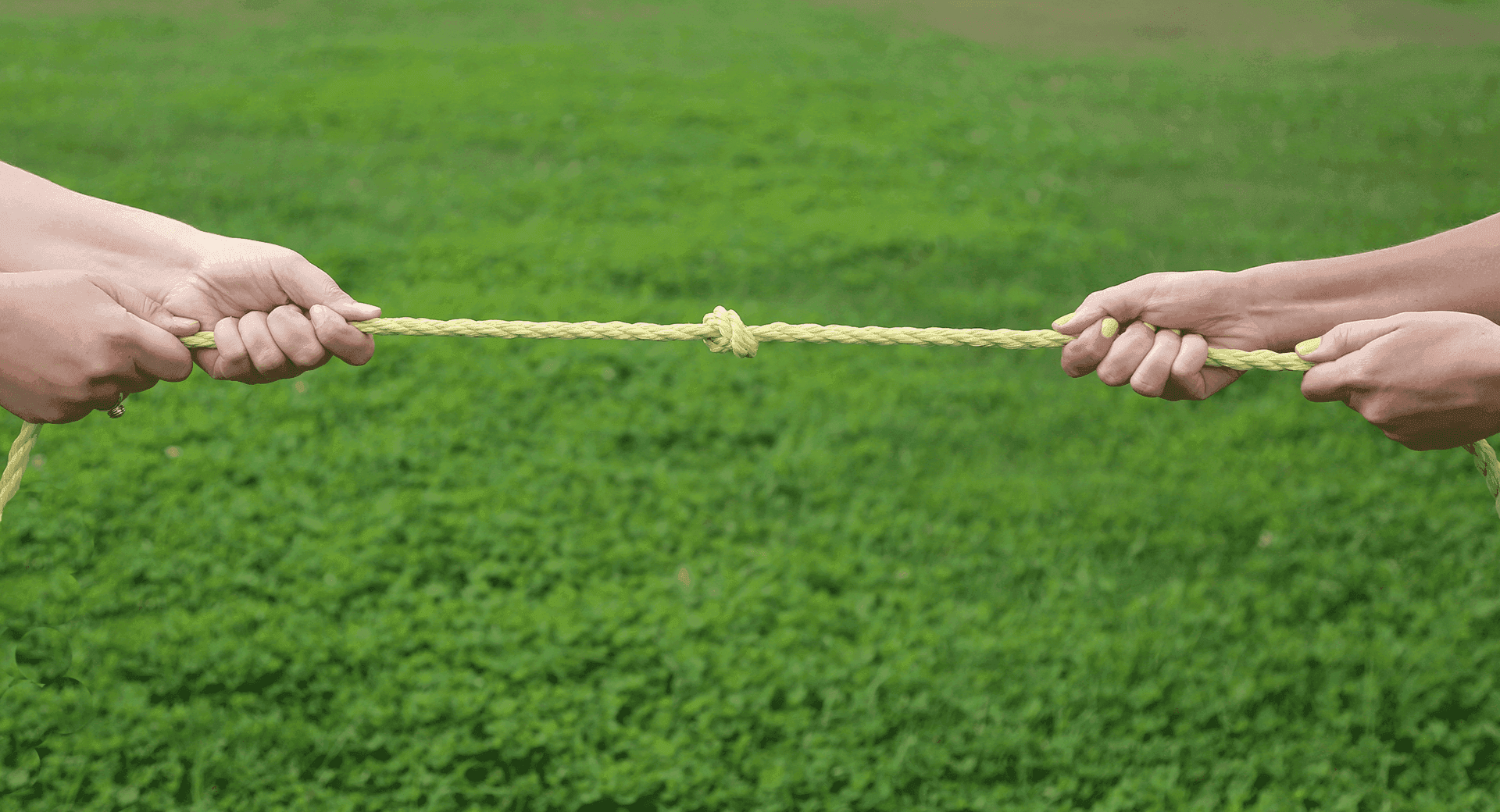 Mobile Education Tug of War