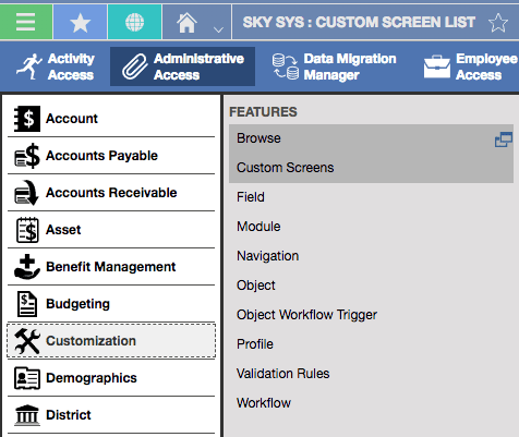 customization manager