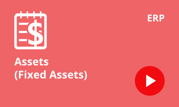 Assets (Fixed Assets)