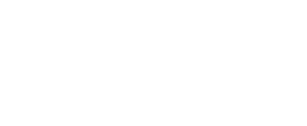 Skyward Academy Logo
